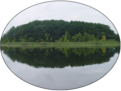 Insel